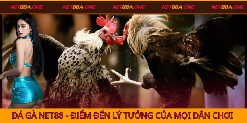 Đá gà Net88 - Sảnh chơi được yêu thích hàng đầu
