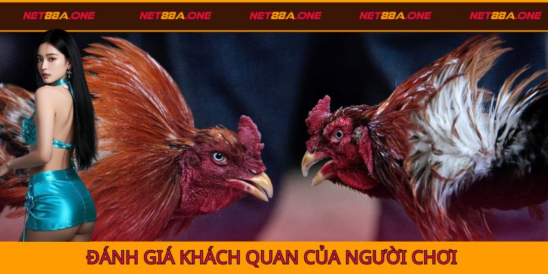 Đánh giá của người chơi về các trường gà tại Net88