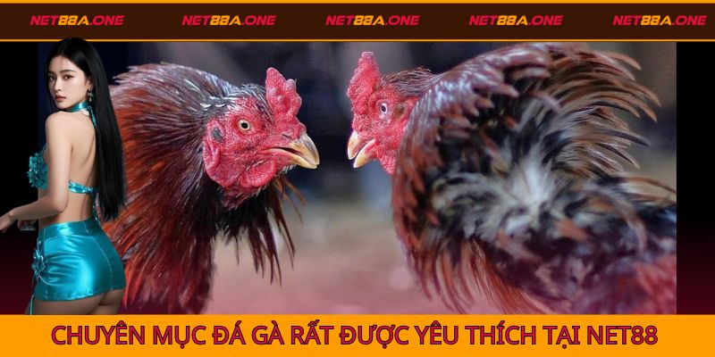 Hình thức giải trí đá gà được yêu thích tại Net88