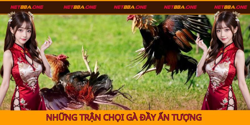 Chọi gà đầy ấn tượng tại Net88