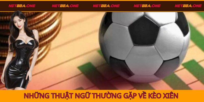 Những thuật ngữ kèo xiên thường gặp