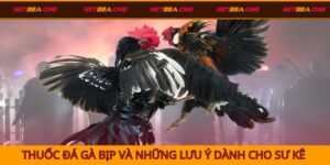 thuốc đá gà bịp