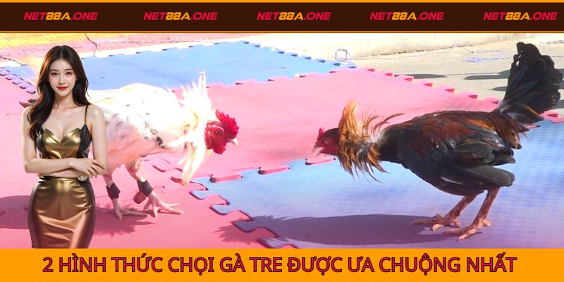 2 hình thức đặt cược chọi gà tre được ưa chuộng nhất hiện nay
