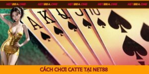 Cách chơi Catte