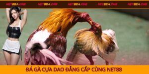 đá gà cựa dao