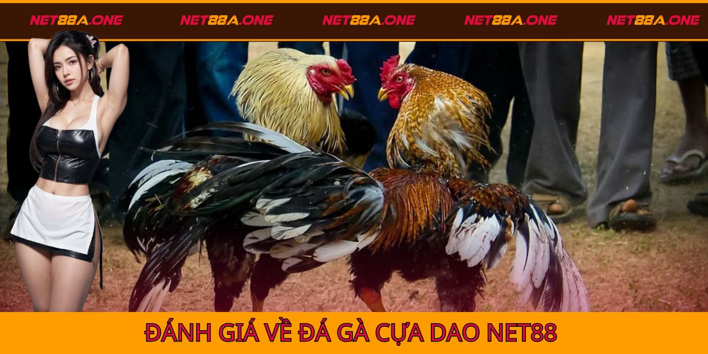 Đánh giá về hình thức đá gà cựa dao tại Net88