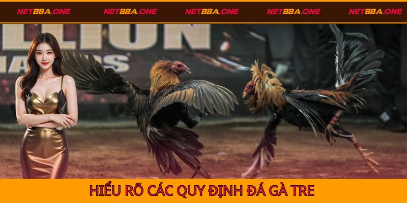 Hiểu rõ các quy định đá gà tre được áp dụng tại Net88