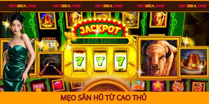 Mẹo săn hũ từ rừng xanh bí ẩn của Net88