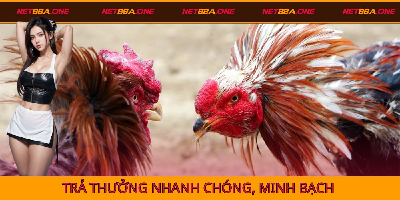 Trả thưởng nhanh và minh bạch cho khách hàng